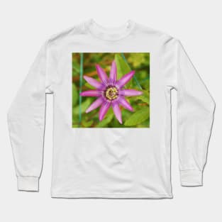 Passiflora Lavender Lady Long Sleeve T-Shirt